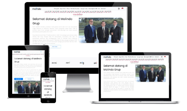 MOLINDO Group